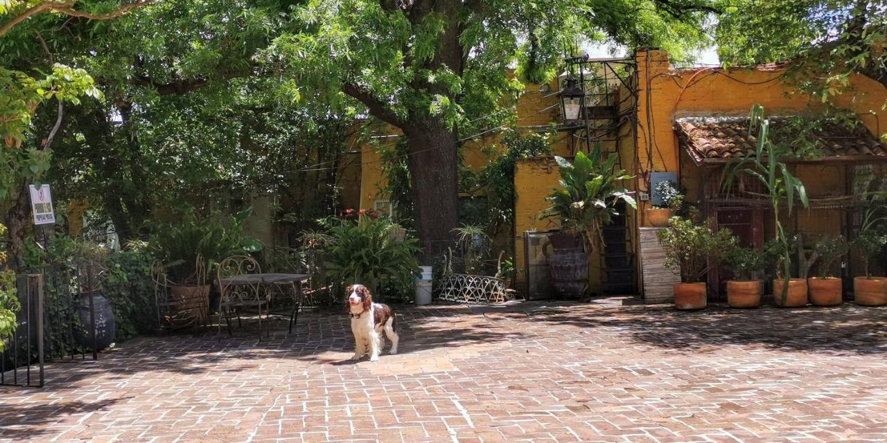 Hotel Sautto San Miguel de Allende Zewnętrze zdjęcie